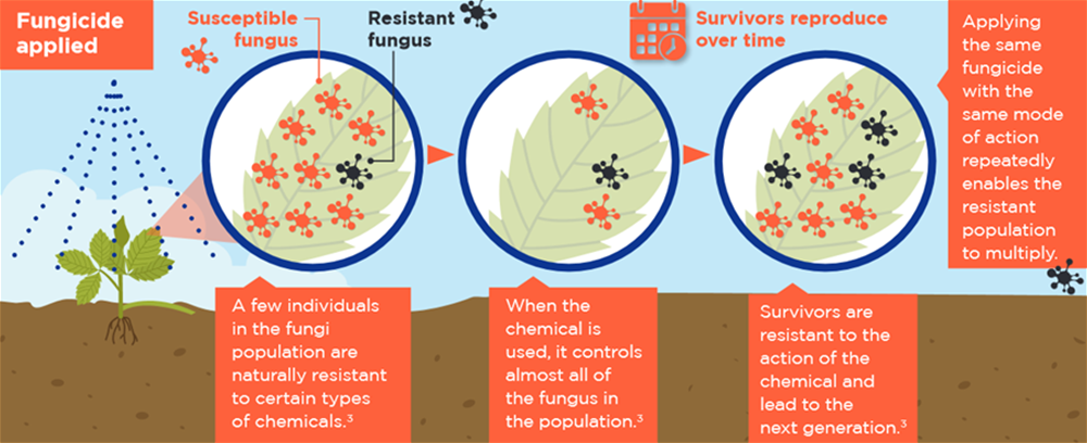 Fungicide Resistance