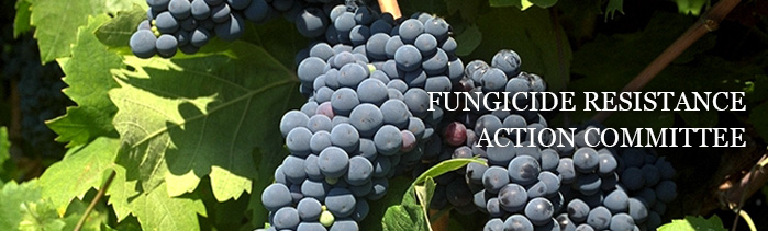 FRAC - Fungicide Resistance Action Commitee
