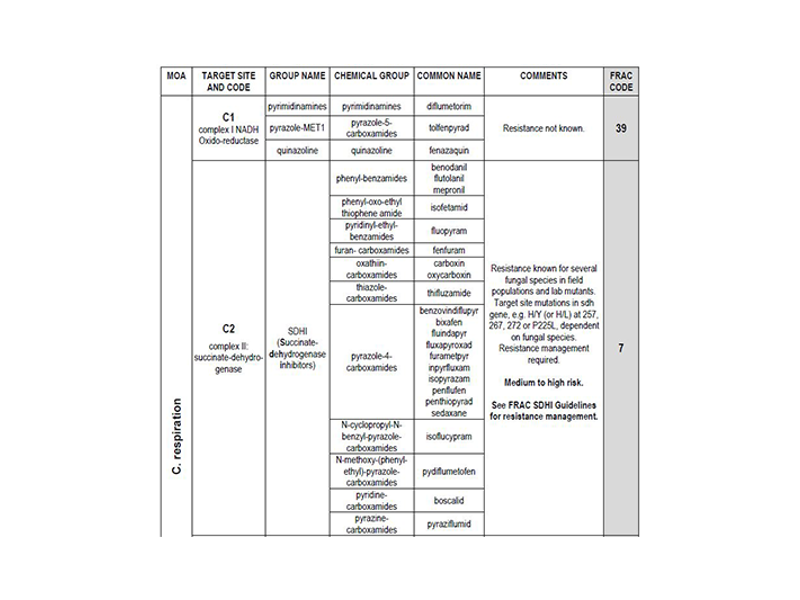 Frac Code Chart Home | FRAC